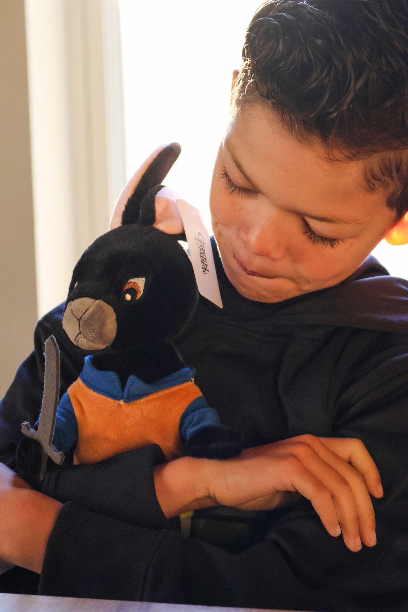 Helmer Plushie Bundle