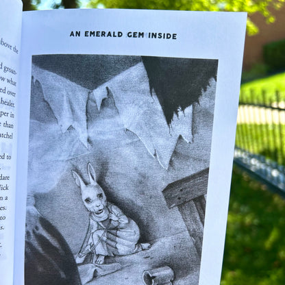 Ember Rising: The Green Ember Book III - Softcover